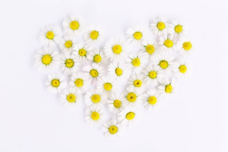 Symbolic arrangements